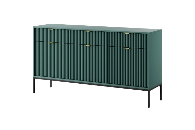 Piaski 23 08 09 Nova 5 Labrador czarny zloty biale tlo.jpg