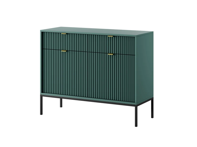 Piaski 23 08 09 Nova 6 Labrador czarny zloty biale tlo.jpg