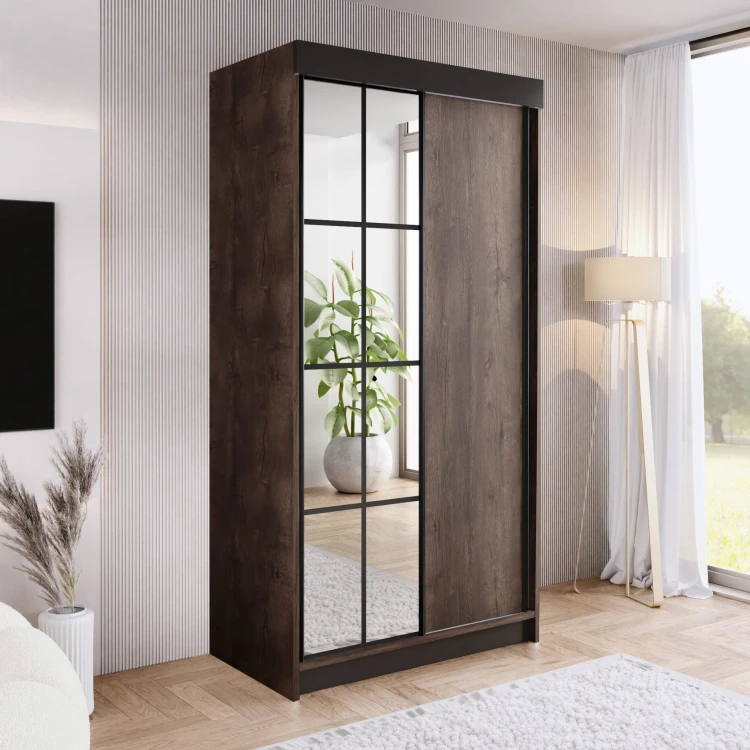 Szafa ARI 1 100 - korpus Jesion Ciemny + front Jesion Ciemny + wstawki Czarne + Lustra.jpg